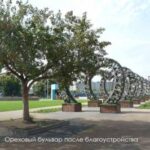 Новый парк появился в поймах рек Шмелёвки и Кузнецовки на юге Москвы