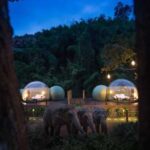 Під відкритим небом: у Таїланді відкрили готель з прозорим куполом