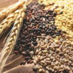 У 2018 році українські аграрії зібрали понад 70 мільйонів тонн зернових