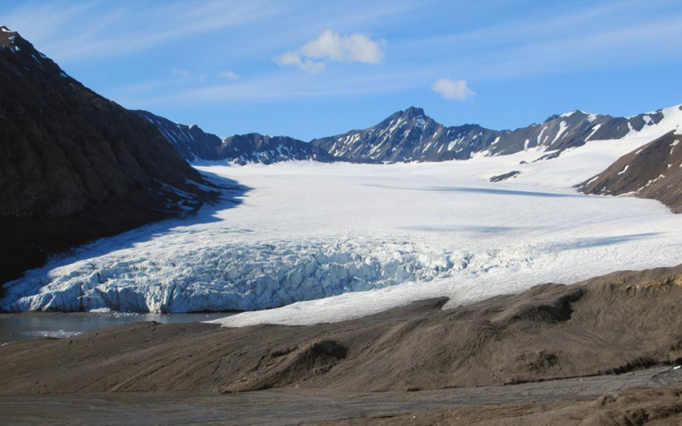 Фото: David Stanley / CC 2.0 / Wikimedia Commons