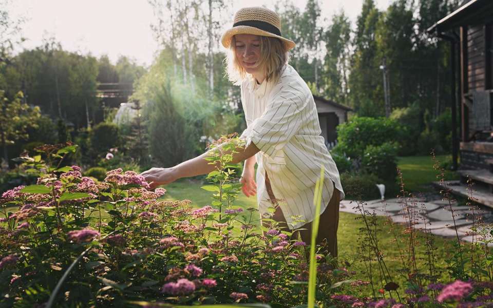 Фото: Maria Evseyeva / Shutterstock / FOTODOM