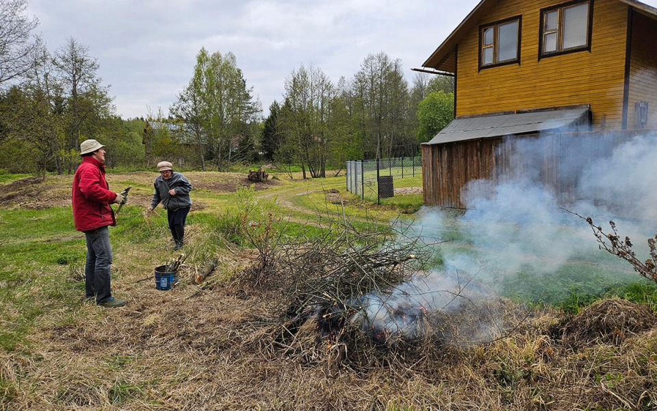 Фото: Pavel L Photo & Video / Shutterstock / FOTODOM