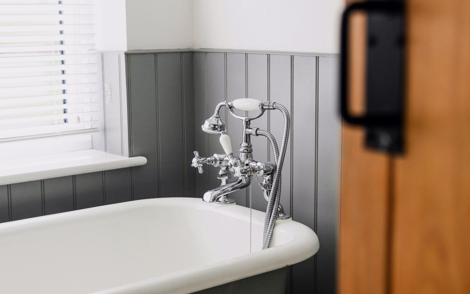 Фото: Dan Smedley / Unsplash