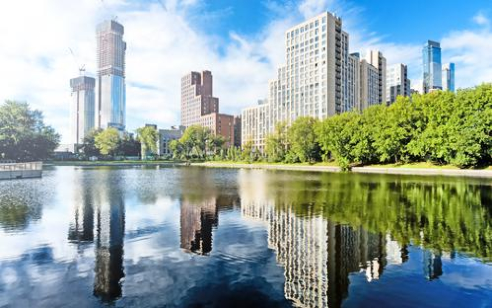 Фото: vaalaa/shutterstock