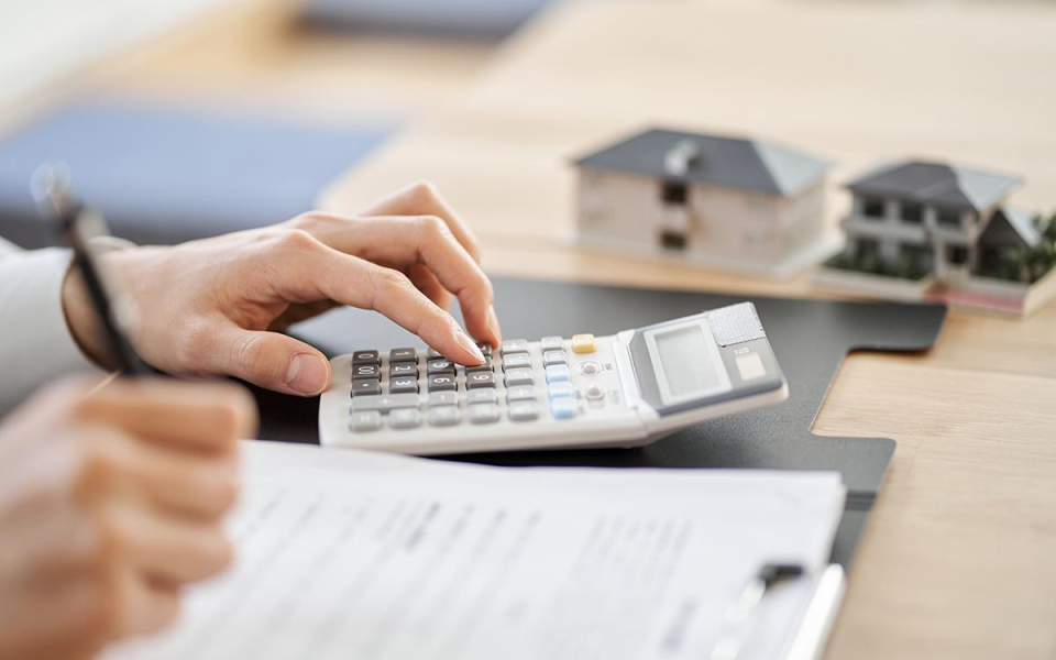 Фото: mapo_japan / Shutterstock / FOTODOM