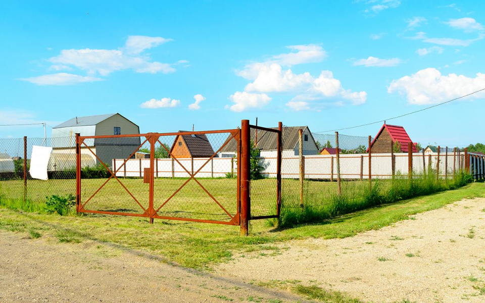 Фото: Dmitry Sedakov / Shutterstock / FOTODOM