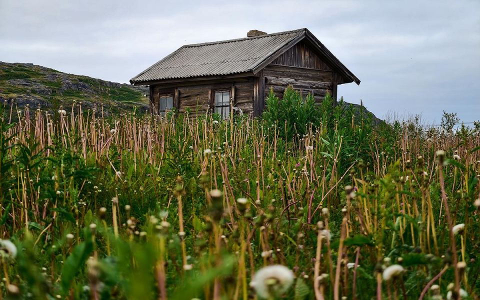 Фото: ChocoPie / Shutterstock / FOTODOM