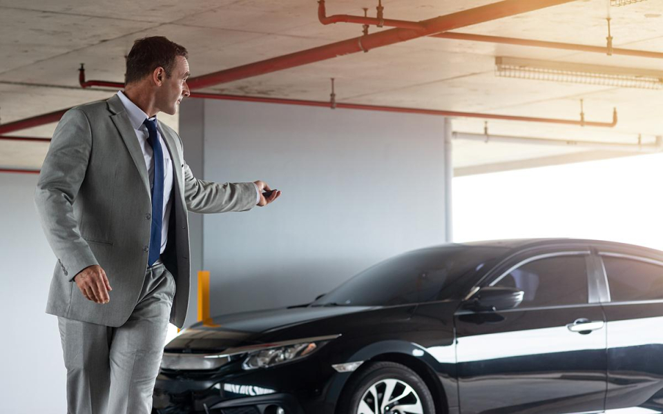 Фото: Adamov_d / Shutterstock / FOTODOM