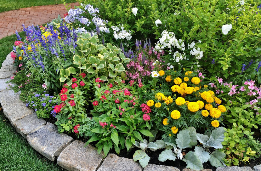 Клумба на дачі: 6 ідей оформлення, поради дизайнера