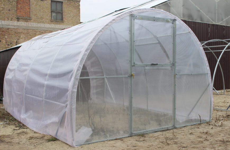 Выбор материала для теплицы: поликарбонат, стекло или пленка?