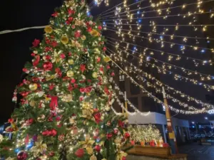 Новорічна ніч 2026: одна дія, яка змінить весь рік