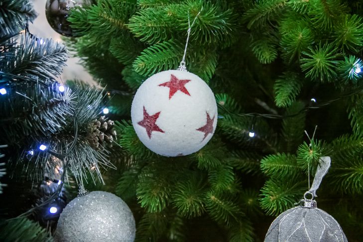 Новорічна ніч 2026: у чому зустрічати рік, щоб не залишитись без грошей елка