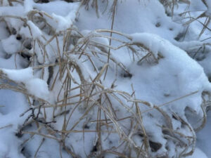 В Україні очікується різке зниження температури до -16 градусів, але…