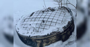 СБУ оприлюднила залишки “Орєшка”, що влучив у Львів (фото)