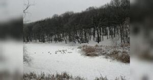 Сильні холоди: надзвичайний рівень загрози оголошено в Україні — де…