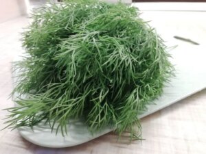 Як зберегти зелень свіжою: трюк, який знають одиниці