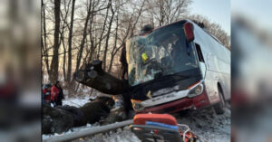 Аварія автобуса Відень-Київ у Львівській області: є травмовані (фото)