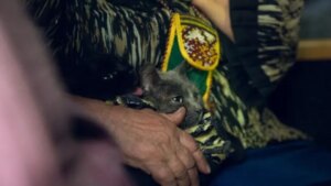 Більше 130 тисяч українців виїхали в безпечні місця за рік,…