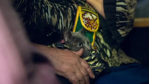 Більше 130 тисяч українців виїхали в безпечні місця за рік, 4,6 мільйонам переміщених осіб&hellip;