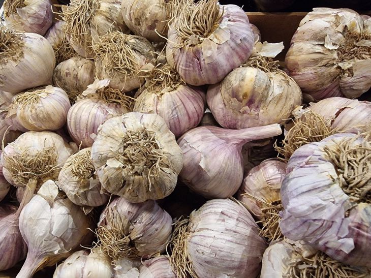 Як зберігати цибулю та часник: дачний секрет, щоб вони не проростали півроку