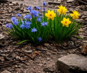 Софія Ротару: щемний допис у 4-ту річницю повномасштабної війни в…