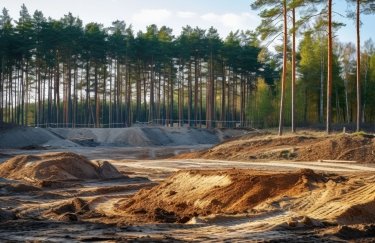 Найбільше дорожчають великі ділянки сільськогосподарського призначення та під забудову / Freepik земельна ділянка кар'єр земля пісок сосновий ліс