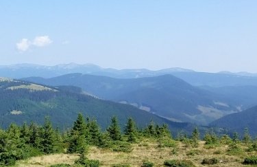 АРМА ініціює повторні торги земель у Закарпатській області