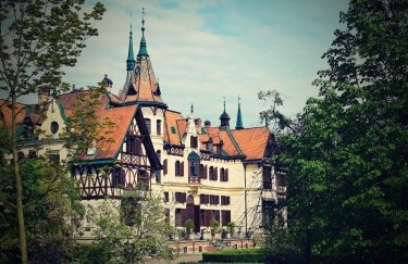 Прага – столиця із найменш доступним житлом для оренди. / Freepik місто архітектура прага дерева європа
