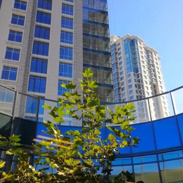 City One Development: підсумки діяльності та аналіз ринку первинної нерухомості за 2024 рік
