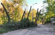 Для будівництва тепломережі на Теремках затверджений лише один проєкт | Столична Нерухомість