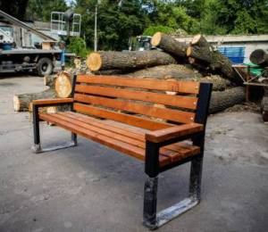 Видалені на Теремках дерева «Київзеленбуд» використає на потреби озеленення та благоустрою | Столична Нерухомість
